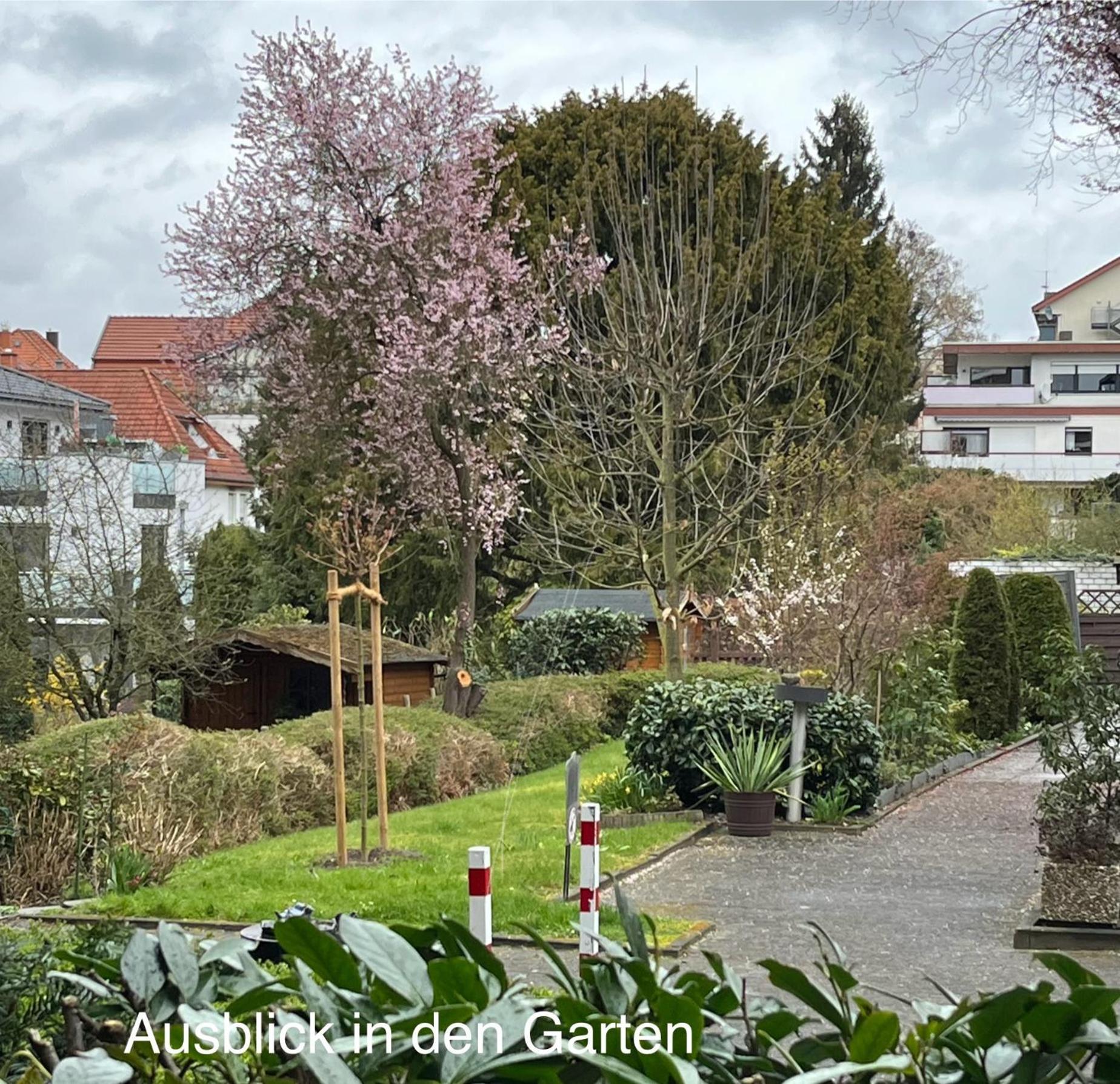 Appartementresidenz Am Kurpark - Ferienwohnungen Mit Pool & Sauna & Garage Bad Salzuflen Room photo
